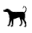 Dogs allowed